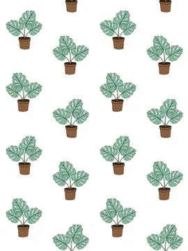 Vector seamless pattern of monstera in pot Stock Illustration