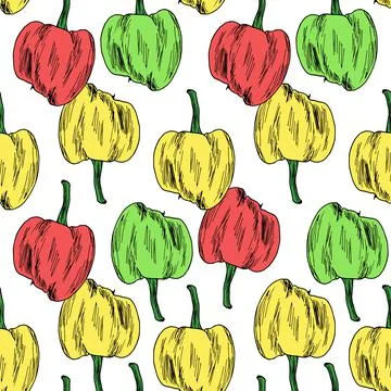 Vector seamless pattern of multicolored peppers. a pepper pattern, hand-drawn in Stock Illustration