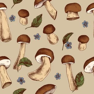 Vector seamless pattern of mushrooms Hand drawn vector illustration Stock Illustration