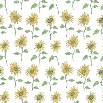 Vector seamless pattern with  nice sunflowers. Illustrazione stock