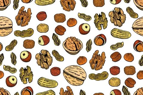 Vector seamless pattern with nuts Illustrazione stock