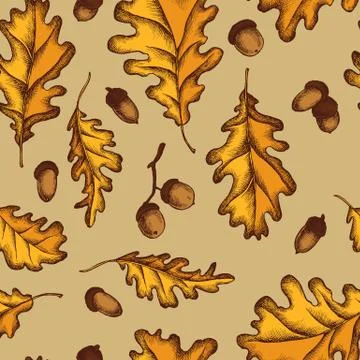 Vector seamless pattern of oak leaves and acorns. Hand drawn vector illustration イラスト素材
