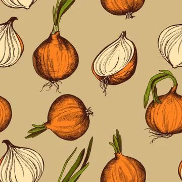 Vector seamless pattern of onions. Hand drawn vector illustration Stock Illustration