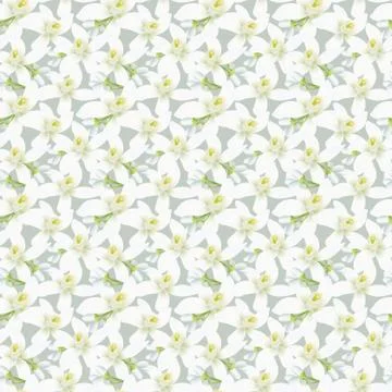 Vector seamless pattern with orange fruit blossom. イラスト素材