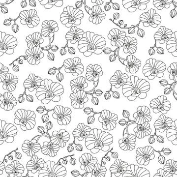 Vector seamless pattern with orchids Stock Illustration