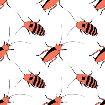 Vector seamless pattern from oriental and madagascar cockroaches, beetles, in Stock Illustration