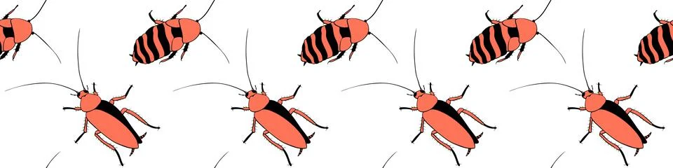 Vector seamless pattern from oriental and madagascar cockroaches, beetles, in Stock Illustration