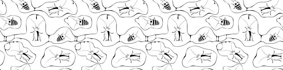 Vector seamless pattern from oriental and madagascar cockroaches, beetles, in イラスト素材