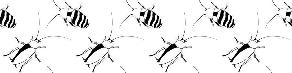 Vector seamless pattern from oriental and madagascar cockroaches, beetles, .. Illustrazione stock