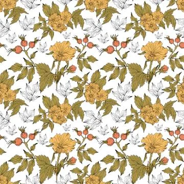 Vector seamless pattern with outline Dog rose or Rosa canina. Stock Illustration