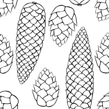 Vector seamless pattern with outline fir spruce pine cones in doodle style. B Stock Illustration