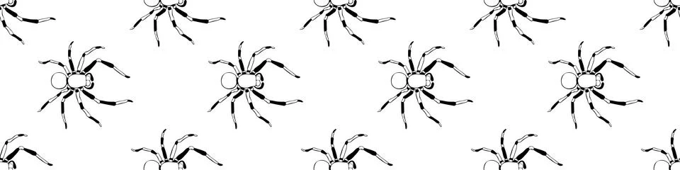Vector seamless pattern of outline spiders in doodle style. Simple backgrou.. Stock Illustration