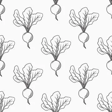 Vector Seamless Pattern with Outlined Black Radish on White Background. Radish 스톡 일러스트