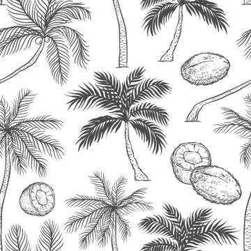 Vector seamless pattern of palm. Different black white kinds of tropical palm Stock Illustration
