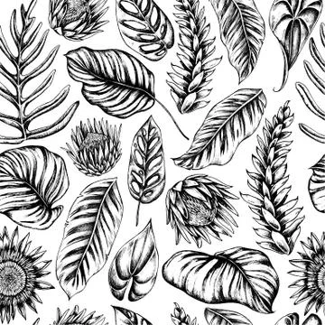 Vector seamless pattern of palm leaves and calathea. Hand drawn vector Stock Illustration