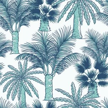 Vector seamless pattern of palmtrees. Different kinds of tropical palm contour Stock Illustration