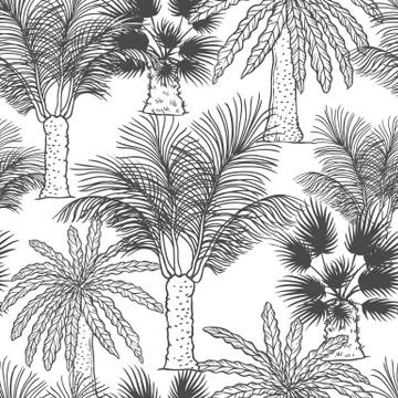 Vector seamless pattern of palmtrees. Different black white kinds of tropical Stock Illustration