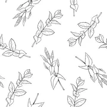 Vector  seamless pattern with peppermint Illustrazione stock