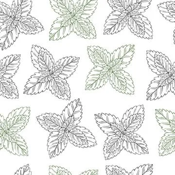 Vector  seamless pattern with peppermint Stock Illustration