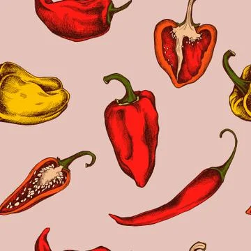Vector seamless pattern of peppers Hand drawn vector illustration Stock Illustration