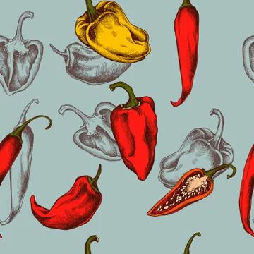 Vector seamless pattern of peppers. Hand drawn vector illustration Stock Illustration