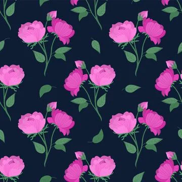 Vector seamless pattern with pink peonies on a dark background. Floral pattern Stock Illustration