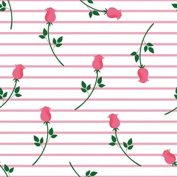 Vector seamless pattern with pink roses and pink stripes Stock Illustration
