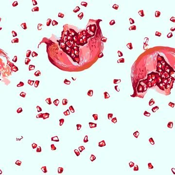 Vector seamless pattern with pomegranate fruits and seeds. Design for cosmetics Illustrazione stock