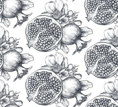 Vector seamless pattern with pomegranate fruits, flowers, branches. Stock Illustration