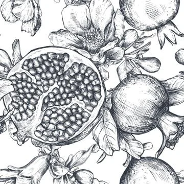 Vector seamless pattern with pomegranate fruits, flowers, branches. Stock Illustration