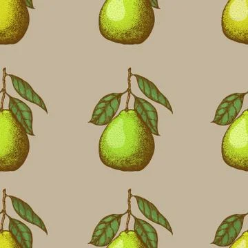 Vector seamless pattern with pomelo. Vector illustration. Design element for for Stock Illustration