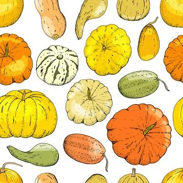 Vector seamless pattern of pumpkin isolate on white. Stock Illustration
