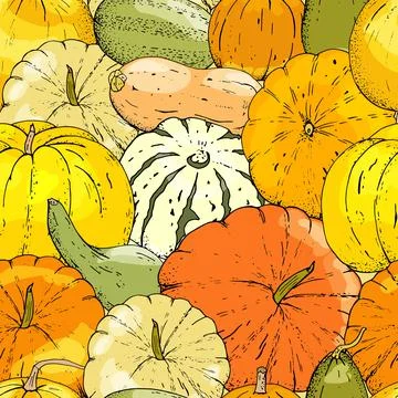 Vector seamless pattern of pumpkin on white background.. Stock Illustration