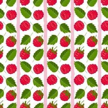 Vector seamless pattern with raspberries, stripes. Summer background, wallpaper. 스톡 일러스트