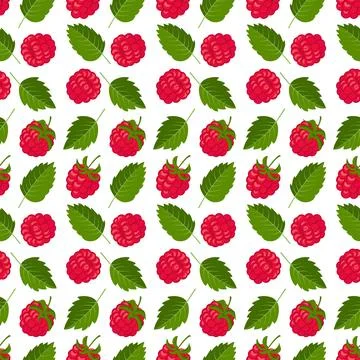 Vector seamless pattern with raspberries. Summer background, wallpaper. 스톡 일러스트