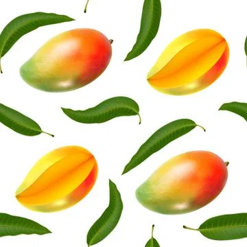 Vector seamless pattern with realistic mango isolated on white. Bright tasty Stock Illustration