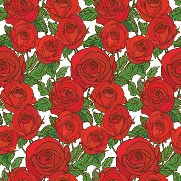 Vector seamless pattern with roses Stock Illustration