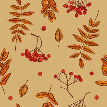 Vector seamless pattern of rowan berries. Hand drawn vector illustration 스톡 일러스트