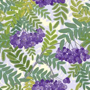 Vector seamless pattern. Rowanberries background Stock Illustration