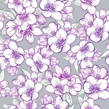 Vector seamless pattern with sakura flowers. Cherry blossom. Stock Illustration