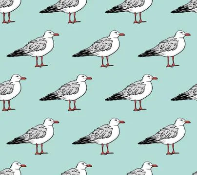 Vector seamless pattern with seagulls Stock Illustration