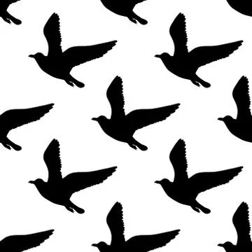 Vector seamless pattern with seagulls silhouettes. Black and white 스톡 일러스트