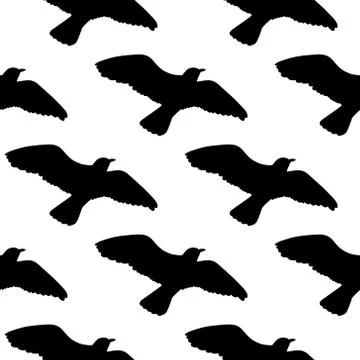 Vector seamless pattern with seagulls silhouettes. Black and white Illustrazione stock