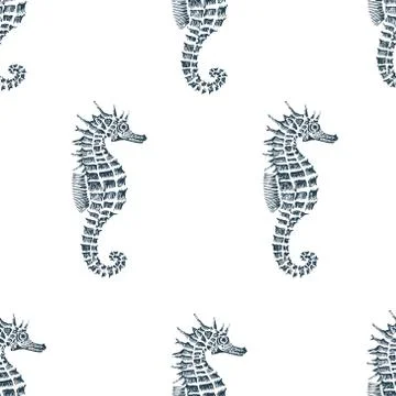 Vector seamless pattern with seahorse Stock Illustration