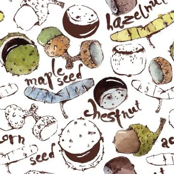 Vector Seamless Pattern with Semipainted Watercolor Seeds, Nuts イラスト素材