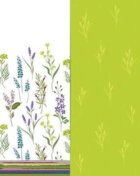 Vector seamless pattern set with wild flowers, herbs and grasses.Thin delicate Stock Illustration