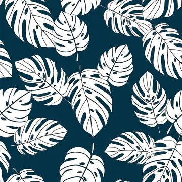 Vector seamless pattern silhouette tropical monstera leaves on dark blue back Stock Illustration