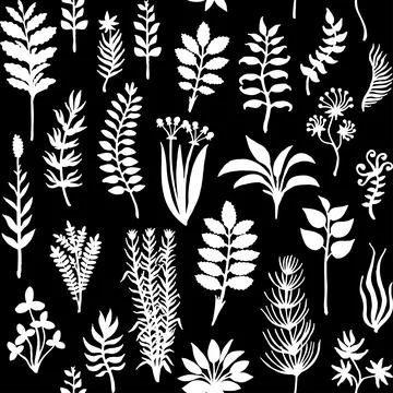 Vector seamless pattern with silhouettes of herbs and plants, hand drawn Stock Illustration