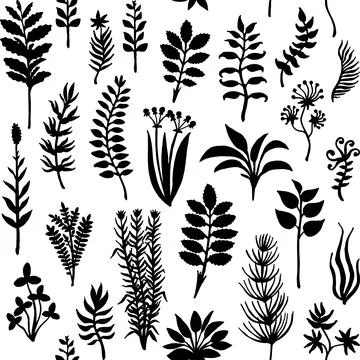 Vector seamless pattern with silhouettes of herbs and plants, hand drawn Stock Illustration