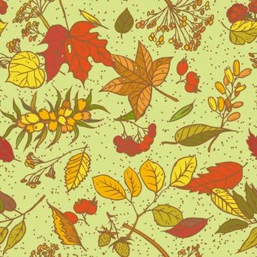Vector seamless pattern sketch branches with autumn leaves, dried flowers and Stock Illustration